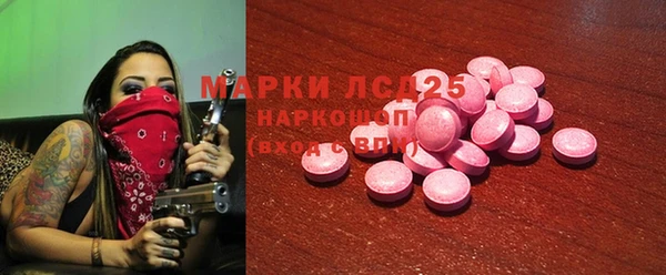 мяу мяу мука Елизово