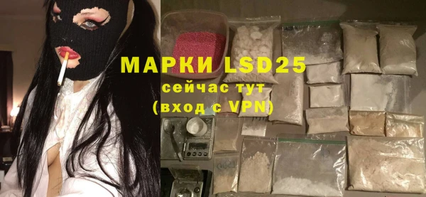МДПВ Снежинск