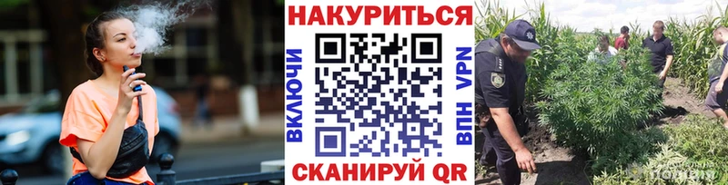 площадка клад  Духовщина  Конопля сатива 